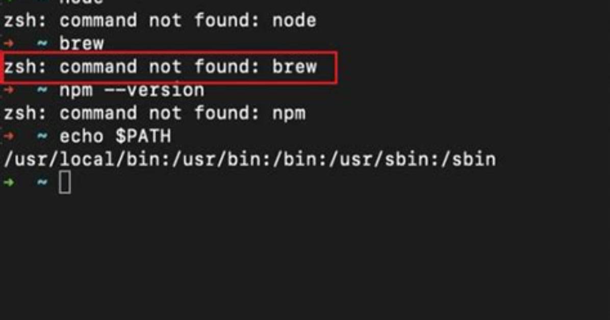 Zsh: Command Not Found: Php